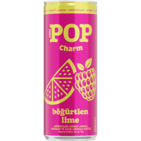 DİMES 250 ML POP CHARM BÖĞÜRTLEN 24 ADET