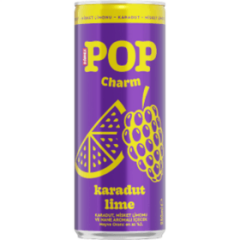 DİMES 250 ML POP CHARM KARADUT 24 ADET