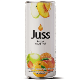 JUSS 250 ML KARIŞIK MEYVE SUYU