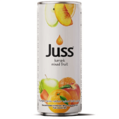 JUSS 250 ML KARIŞIK MEYVE SUYU