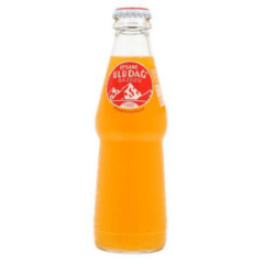ULUDAĞ 200 ML EFSANE PORTAKAL 24 ADET