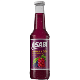 ASABİ KARADUT GAZOZ 250 ML 24 ADET