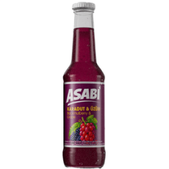 ASABİ KARADUT GAZOZ 250 ML 24 ADET
