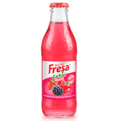 FREŞA EXTRA ORMAN MEYVELİ SODA 24 ADET