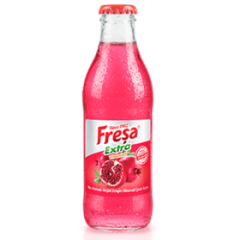 FREŞA EXTRA NAR MEYVELİ SODA 24 ADET