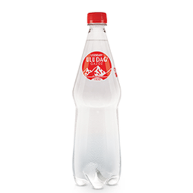 ULUDAĞ 1 LT GAZOZ 12 ADET